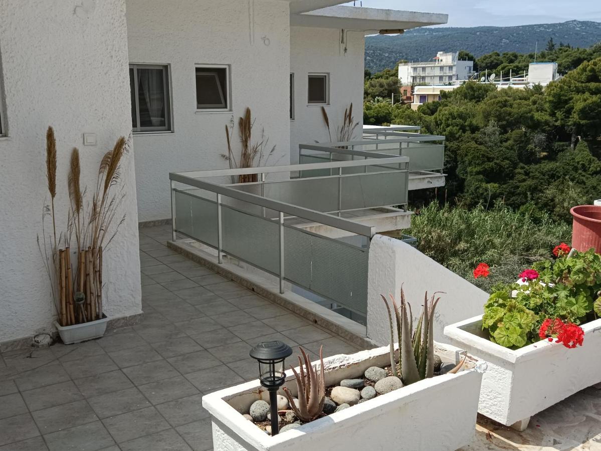 Meltemi Apartments Agia Marina  Bagian luar foto